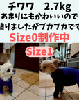 Mucki Mutz Dog Wear Ligth Suit 着用例