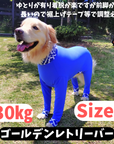 Mucki Mutz Dog Wear Ligth Suit 着用例