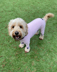 Mucki Mutz Dog Wear ライトスーツ ベビーピンク 男の子、女の子兼用