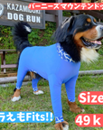 Mucki Mutz Dog Wear Ligth Suit 着用例