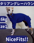 Mucki Mutz Dog Wear Ligth Suit 着用例