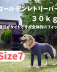 Mucki Mutz Dog Wear Ligth Suit 着用例