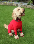 Mucki Mutz Dog Wear ライトスーツ レッド