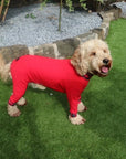 Mucki Mutz Dog Wear ライトスーツ レッド