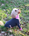 Mucki Mutz Dog Wear ライトスーツ グレイ 男の子、女の子兼用