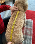 Mucki Mutz Dog Wear サイズの測り方と着脱動画