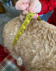 Mucki Mutz Dog Wear サイズの測り方と着脱動画