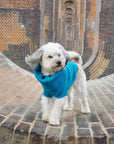 WAG&WOOL ブリティッシュウールドッグジャンパー セルリアンブルー