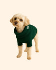 WAG&WOOL ブリティッシュウールドッグジャンパー フォレストグリーン