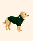 WAG&WOOL ブリティッシュウールドッグジャンパー フォレストグリーン
