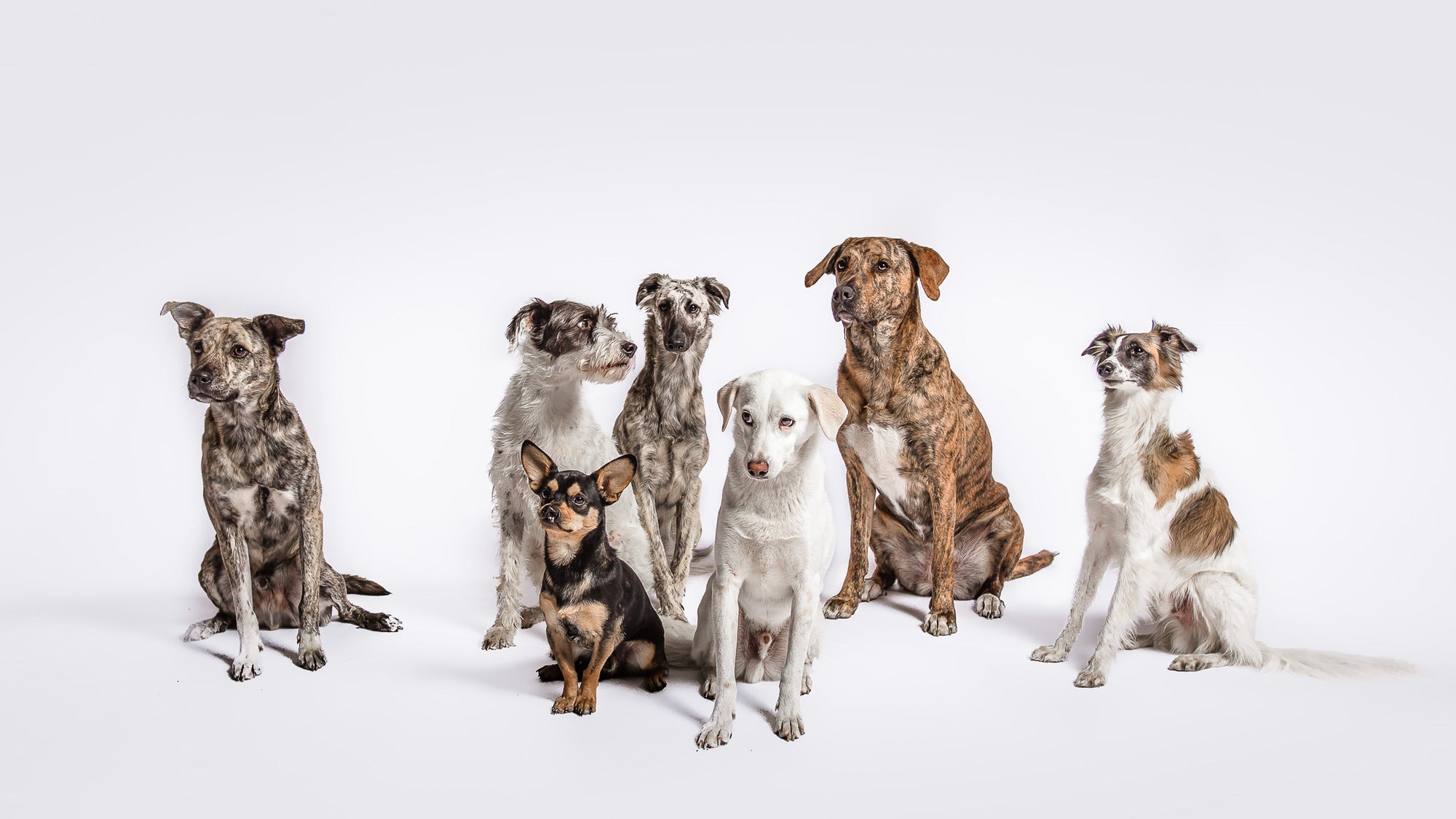 Tail Stock取り扱いブランド紹介その②　CLOUD7