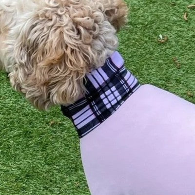 Mucki Mutz Dog Wear　ライトスーツ　ベビーピンク　男の子、女の子兼用