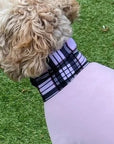 Mucki Mutz Dog Wear　ライトスーツ　ベビーピンク　男の子、女の子兼用