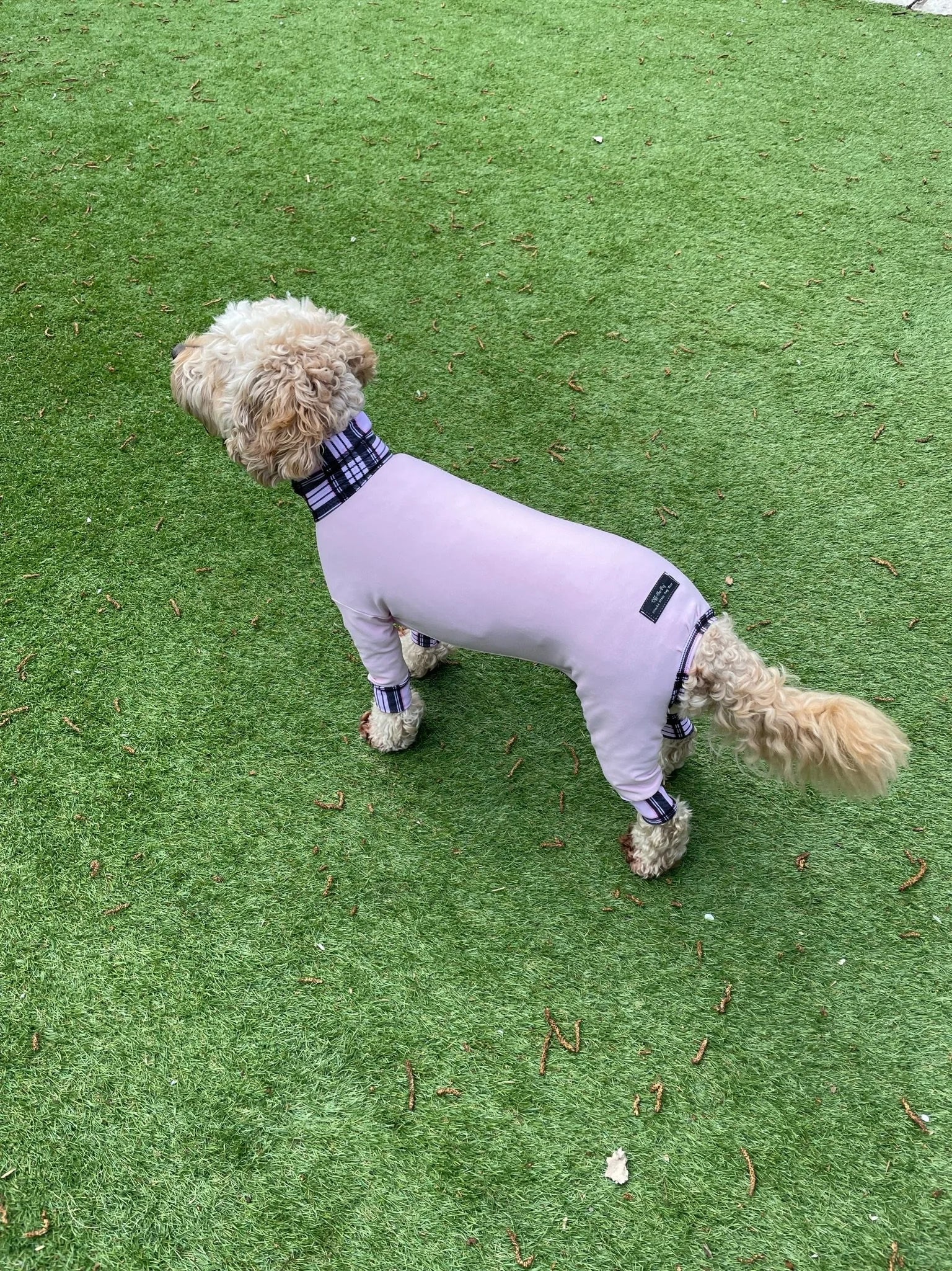 Mucki Mutz Dog Wear　ライトスーツ　ベビーピンク　男の子、女の子兼用