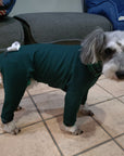 Mucki Mutz Dog Wear　ライトスーツ　グリーン