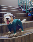 Mucki Mutz Dog Wear　ライトスーツ　グリーン