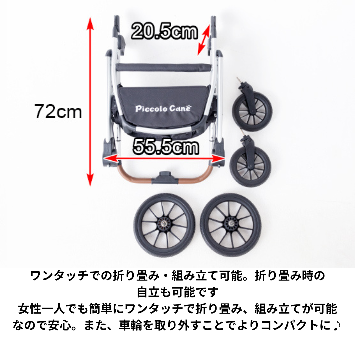 ピッコロカーネ　FORTE（フォルテ）