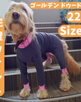 Mucki Mutz Dog Wear 　Ligth Suit 着用例