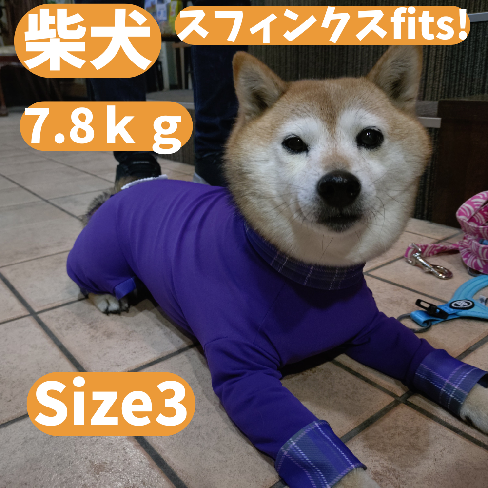 Mucki Mutz Dog Wear 　Ligth Suit 着用例