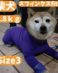 Mucki Mutz Dog Wear 　Ligth Suit 着用例