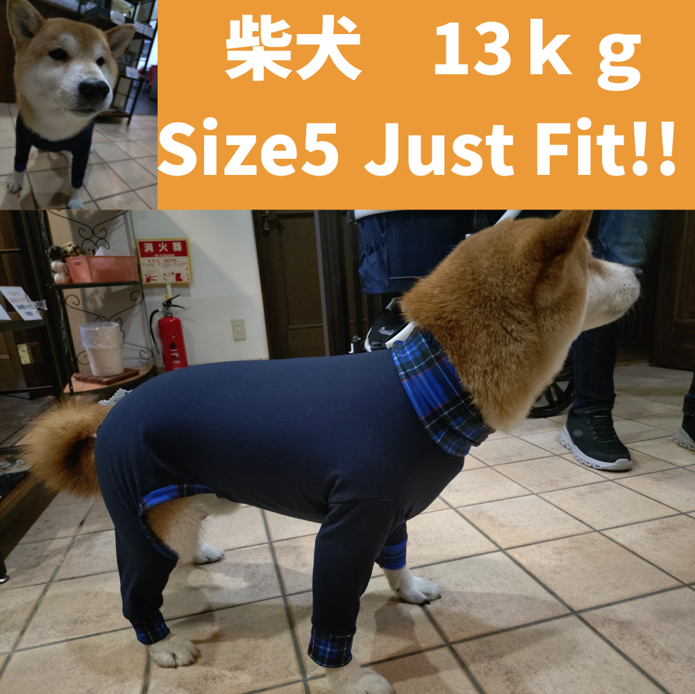 Mucki Mutz Dog Wear 　Ligth Suit 着用例