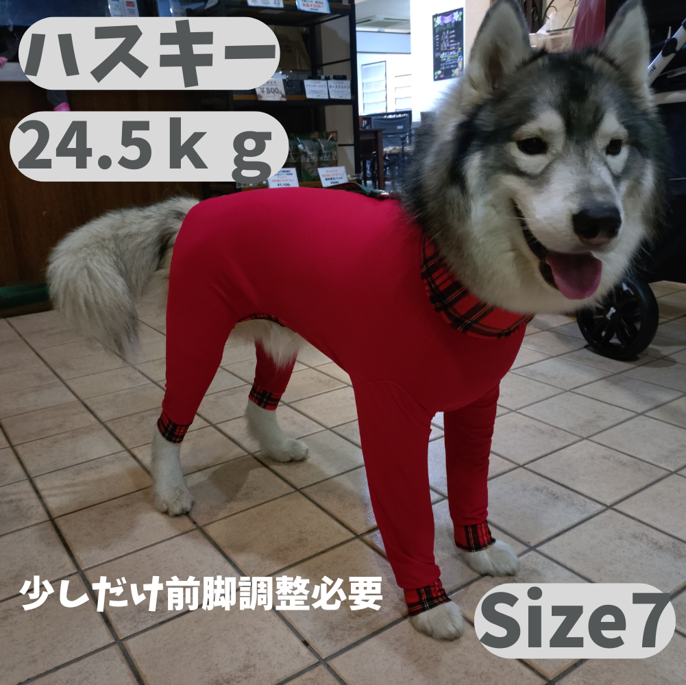 Mucki Mutz Dog Wear 　Ligth Suit 着用例