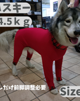 Mucki Mutz Dog Wear 　Ligth Suit 着用例