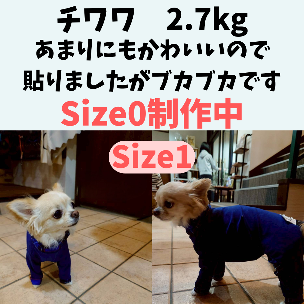Mucki Mutz Dog Wear 　Ligth Suit 着用例