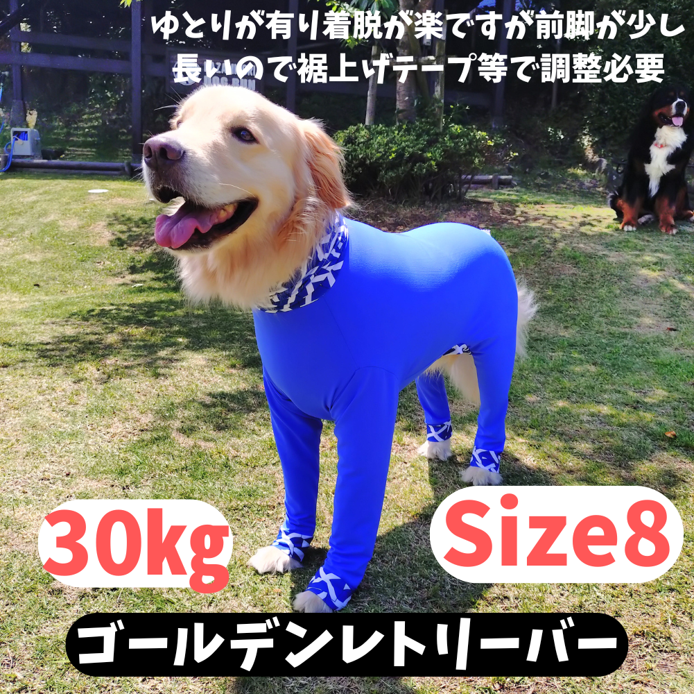 Mucki Mutz Dog Wear 　Ligth Suit 着用例
