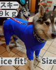Mucki Mutz Dog Wear 　Ligth Suit 着用例