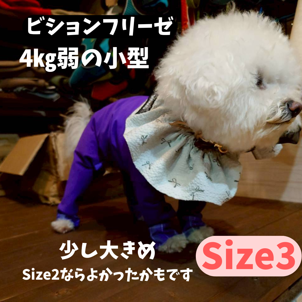 Mucki Mutz Dog Wear 　Ligth Suit 着用例