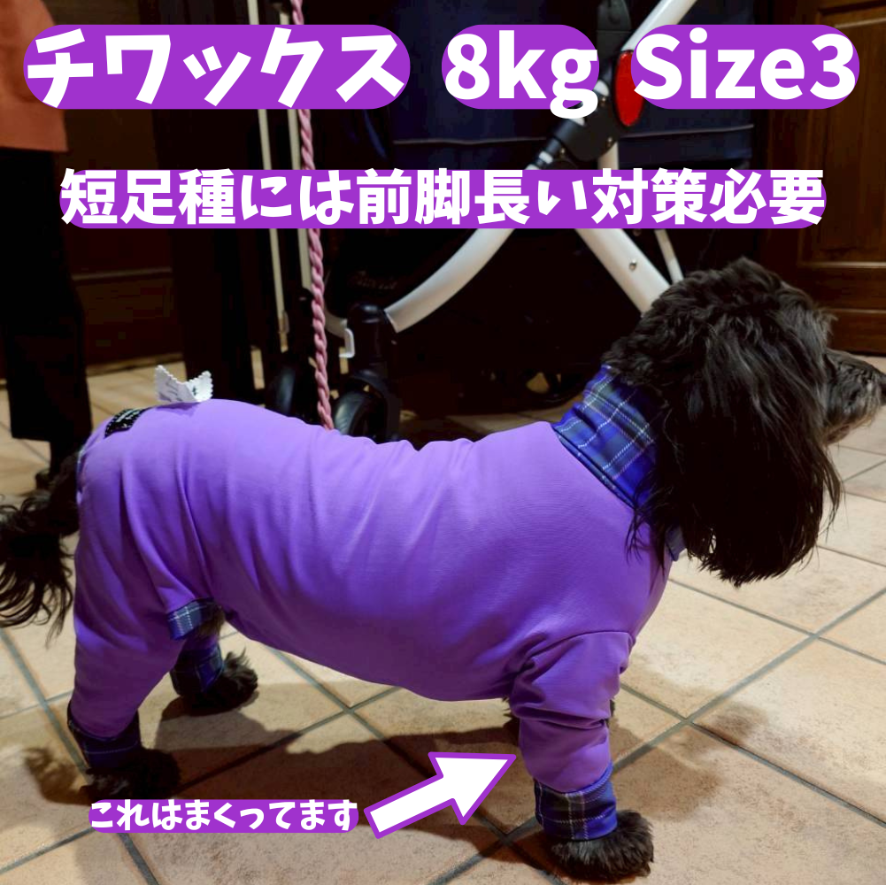 Mucki Mutz Dog Wear 　Ligth Suit 着用例