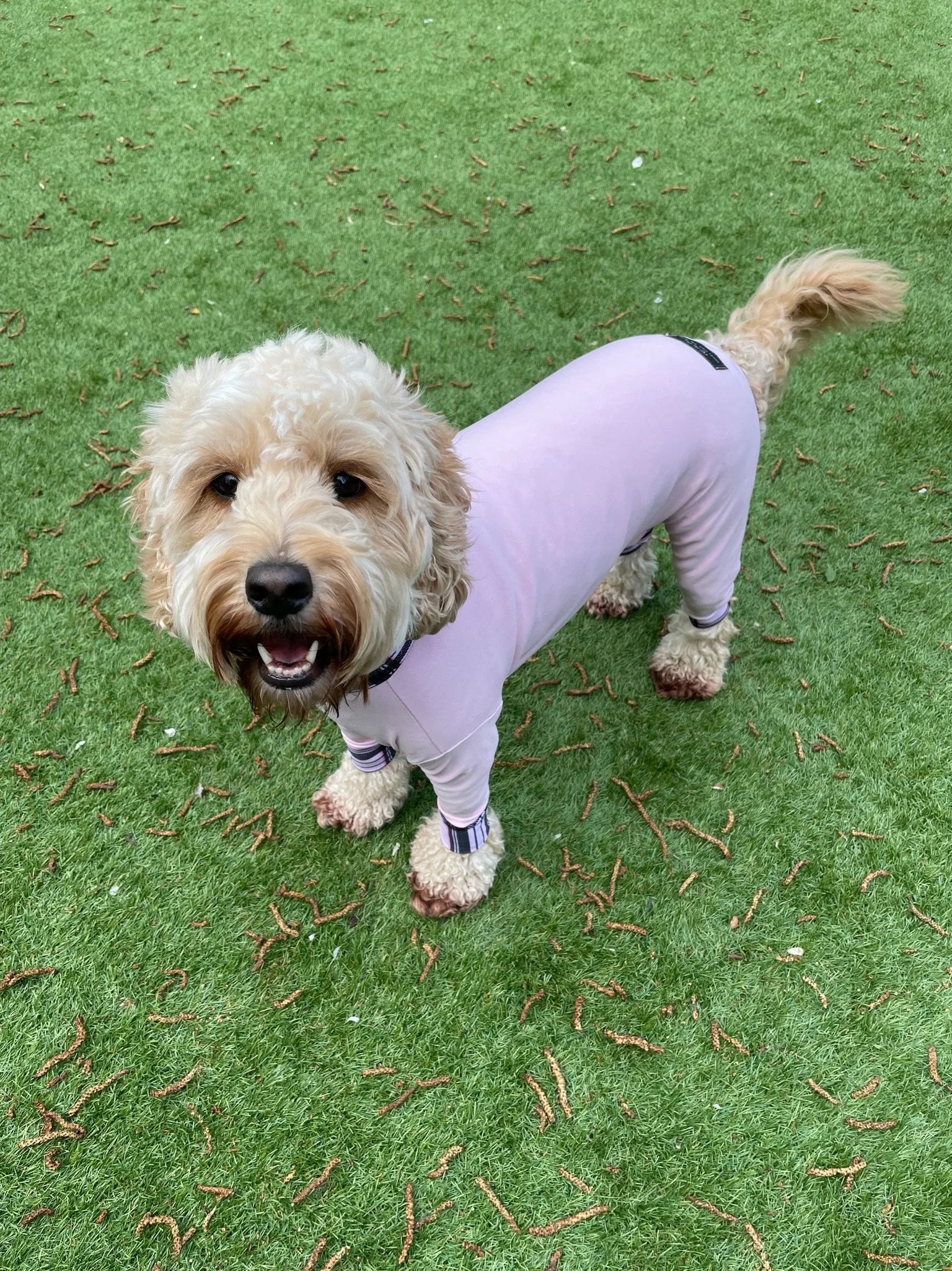 Mucki Mutz Dog Wear　ライトスーツ　ベビーピンク　男の子、女の子兼用