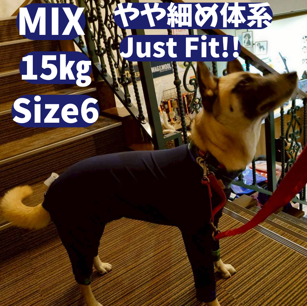 Mucki Mutz Dog Wear 　Ligth Suit 着用例