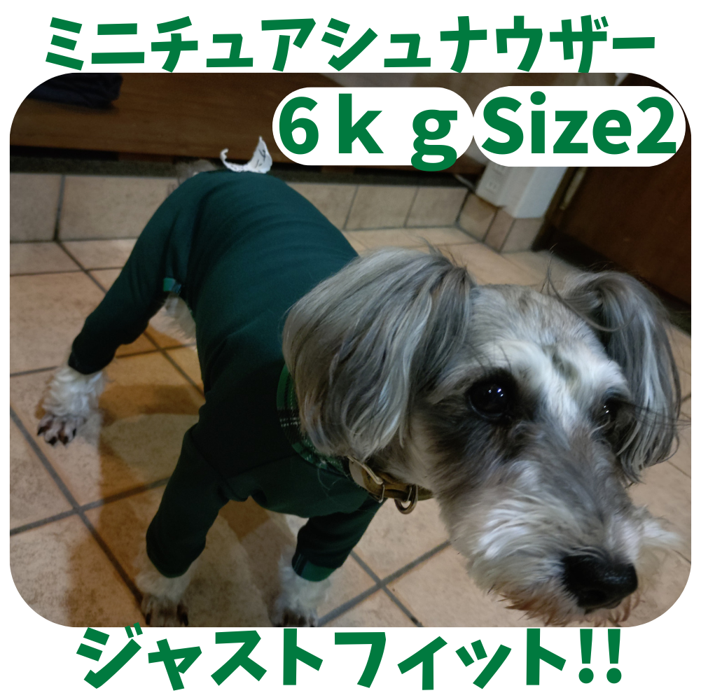 Mucki Mutz Dog Wear 　Ligth Suit 着用例