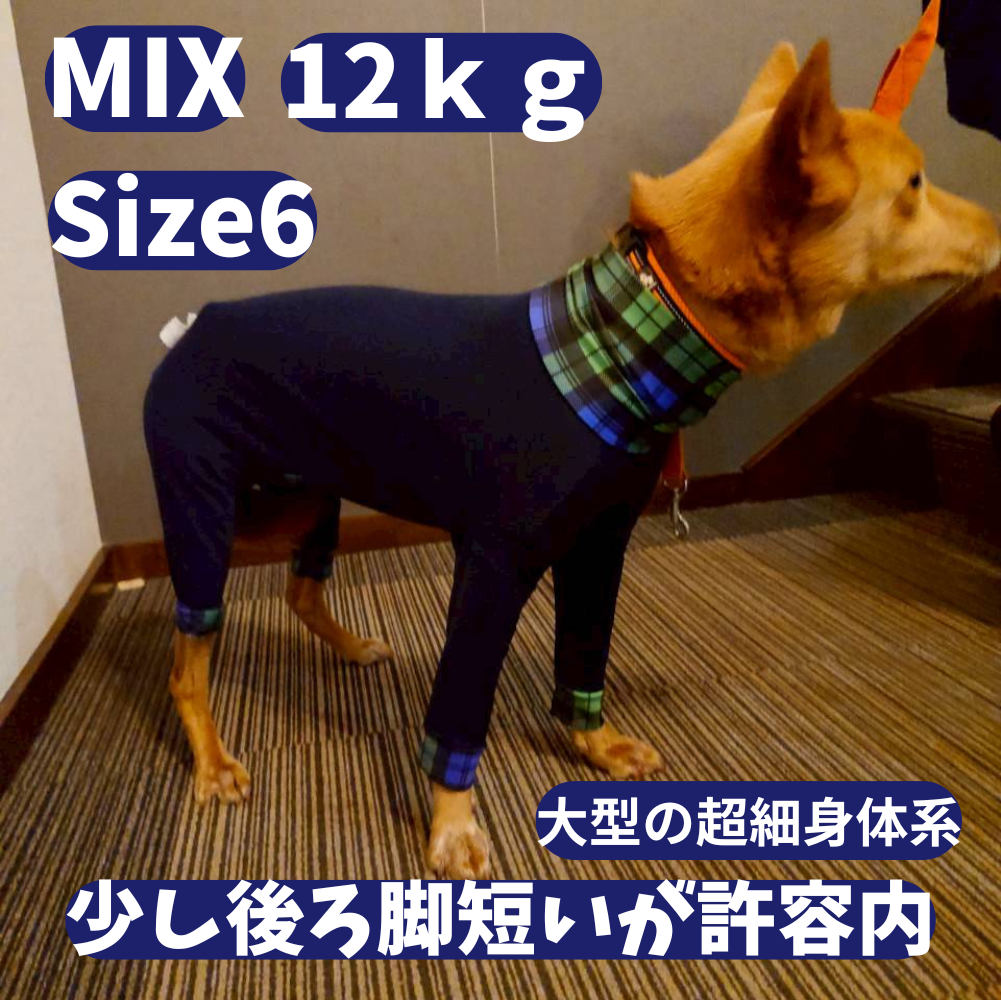 Mucki Mutz Dog Wear 　Ligth Suit 着用例