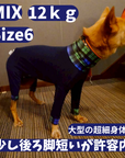 Mucki Mutz Dog Wear 　Ligth Suit 着用例