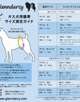 男の子用　Belly Bands　マナーベルト　X-Large