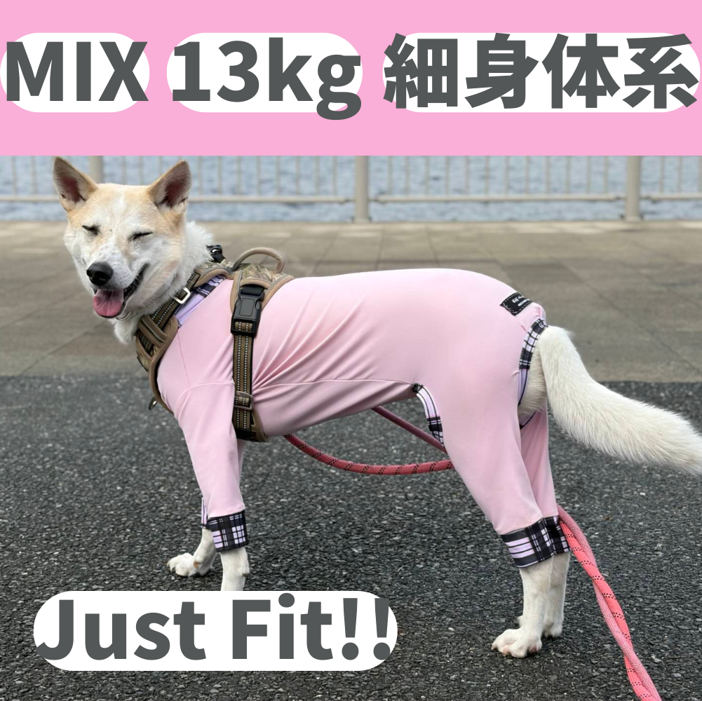 Mucki Mutz Dog Wear 　Ligth Suit 着用例