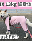 Mucki Mutz Dog Wear 　Ligth Suit 着用例