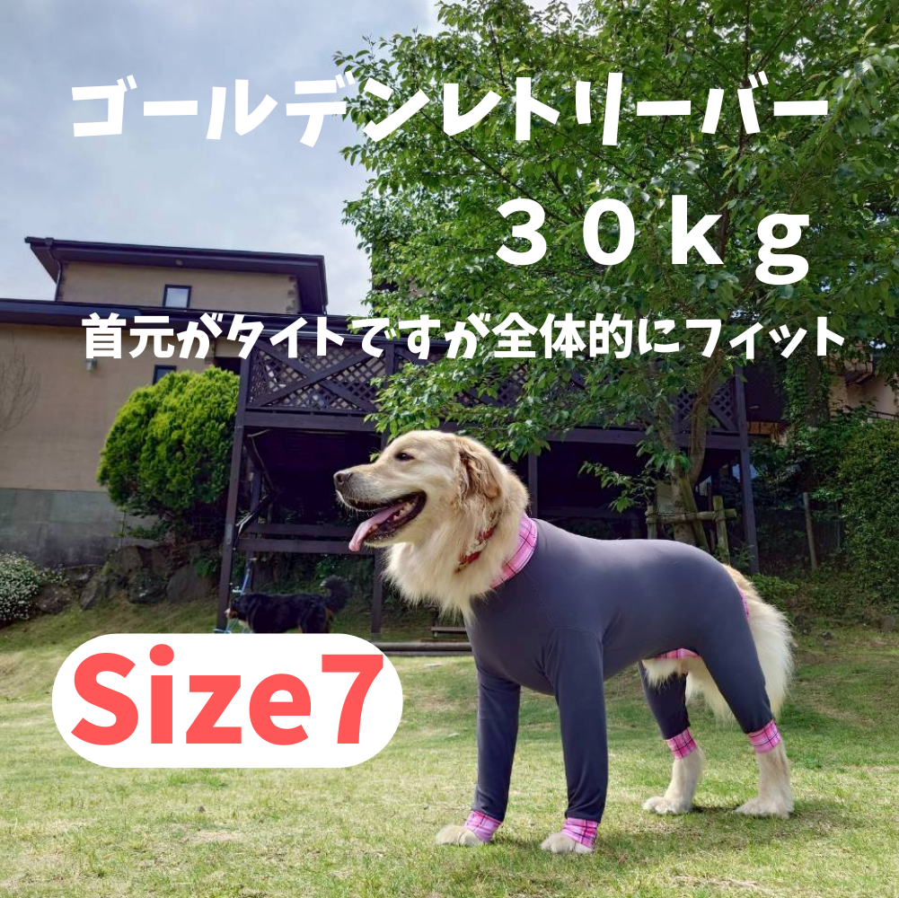 Mucki Mutz Dog Wear 　Ligth Suit 着用例