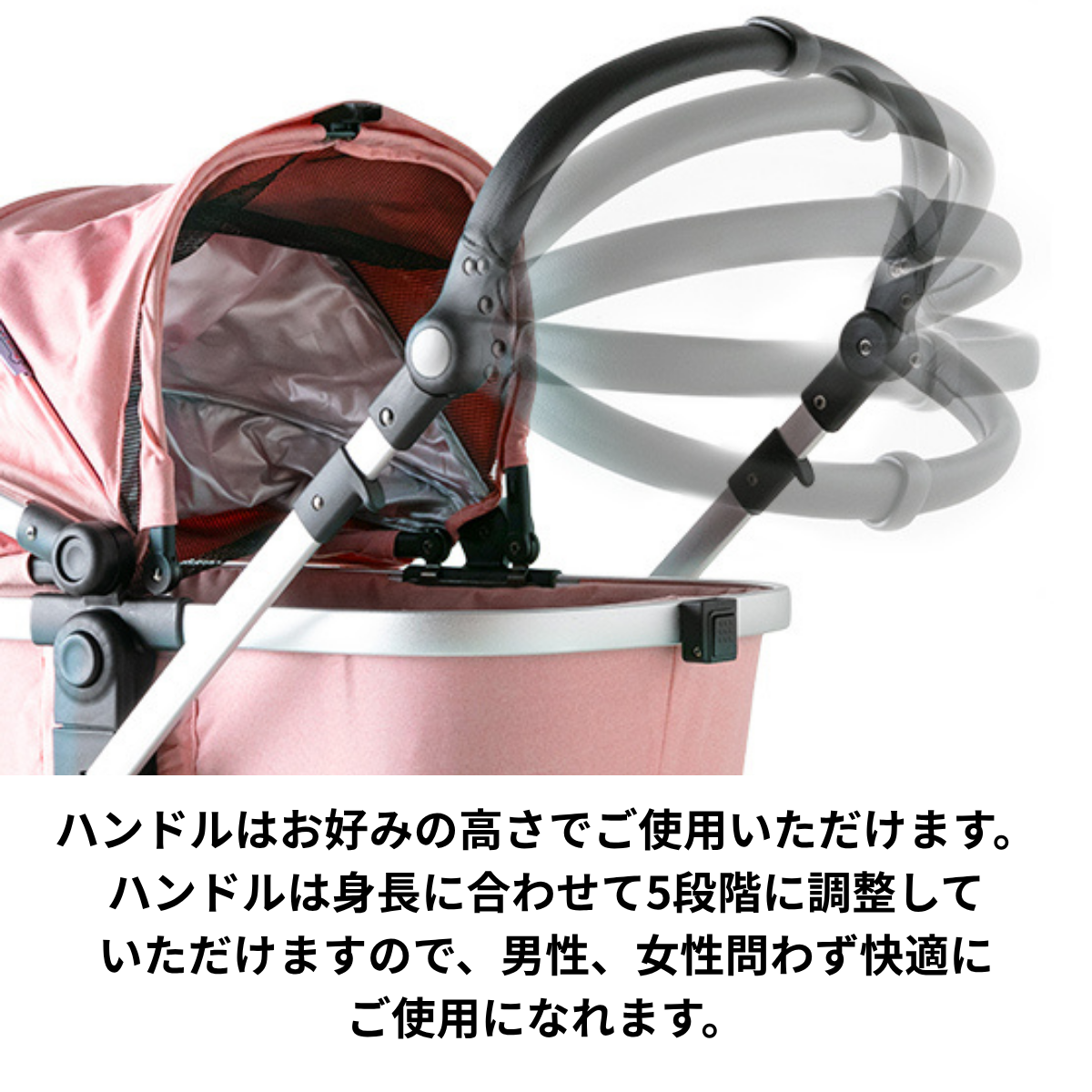 ピッコロカーネ　CARINOα（カリーノ アルファ）
