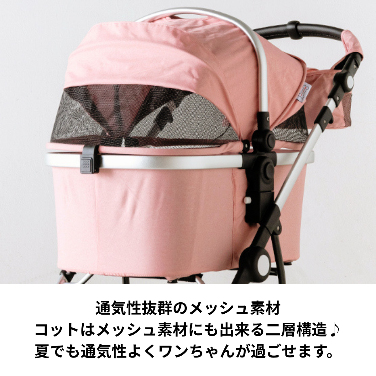 ピッコロカーネ　CARINOα（カリーノ アルファ）