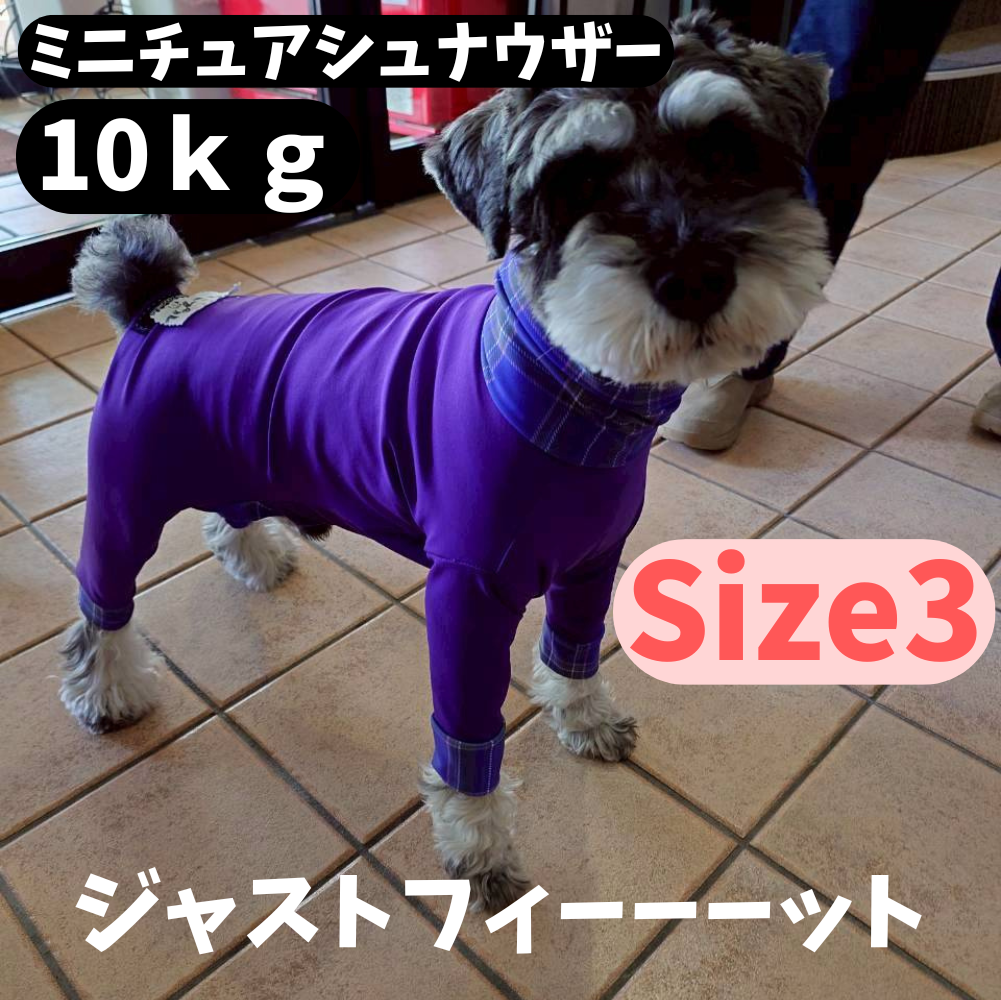 Mucki Mutz Dog Wear 　Ligth Suit 着用例
