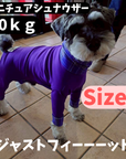 Mucki Mutz Dog Wear 　Ligth Suit 着用例