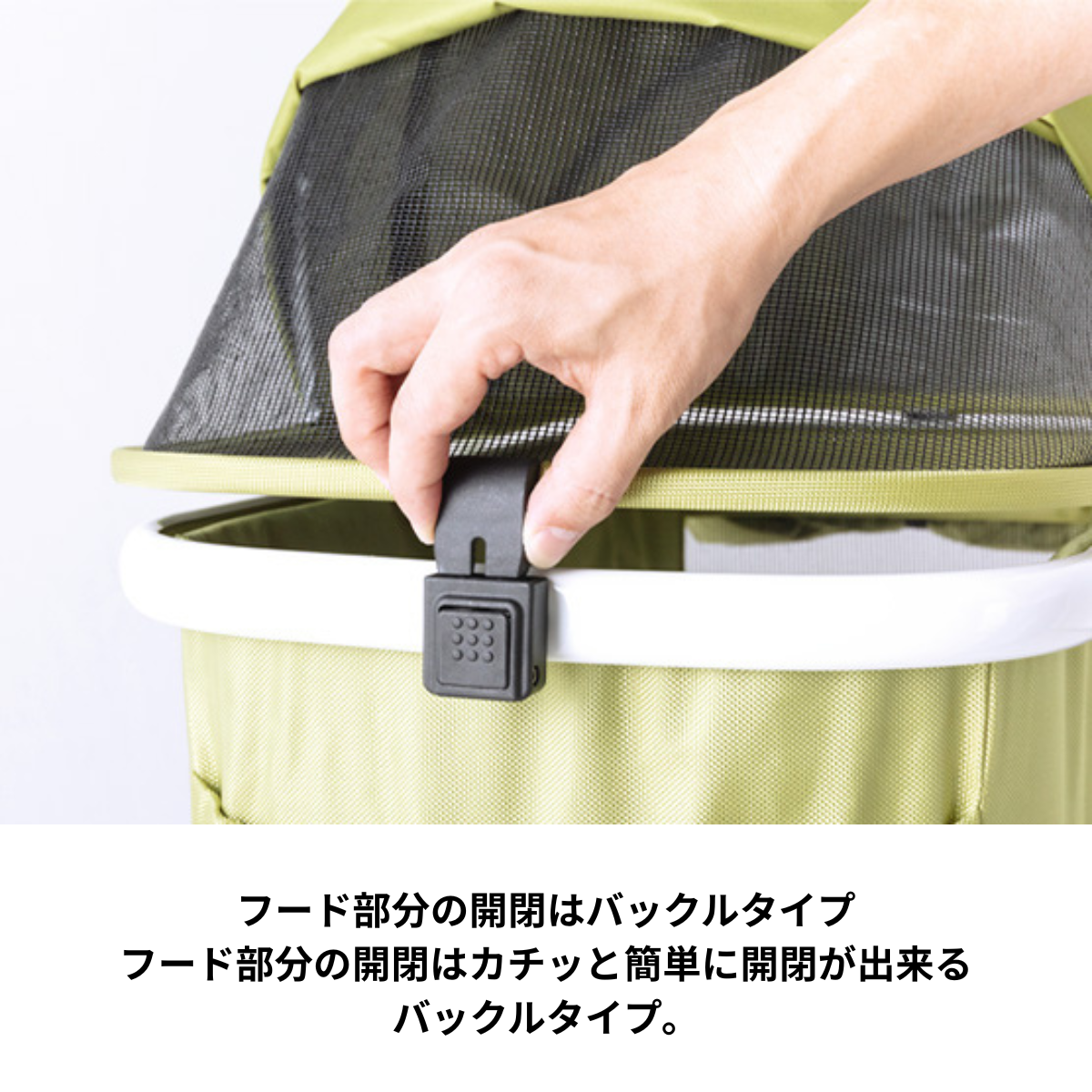 ピッコロカーネ　TANTO α（タント アルファ）
