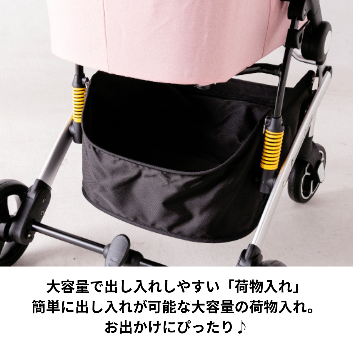 ピッコロカーネ　CARINOα（カリーノ アルファ）