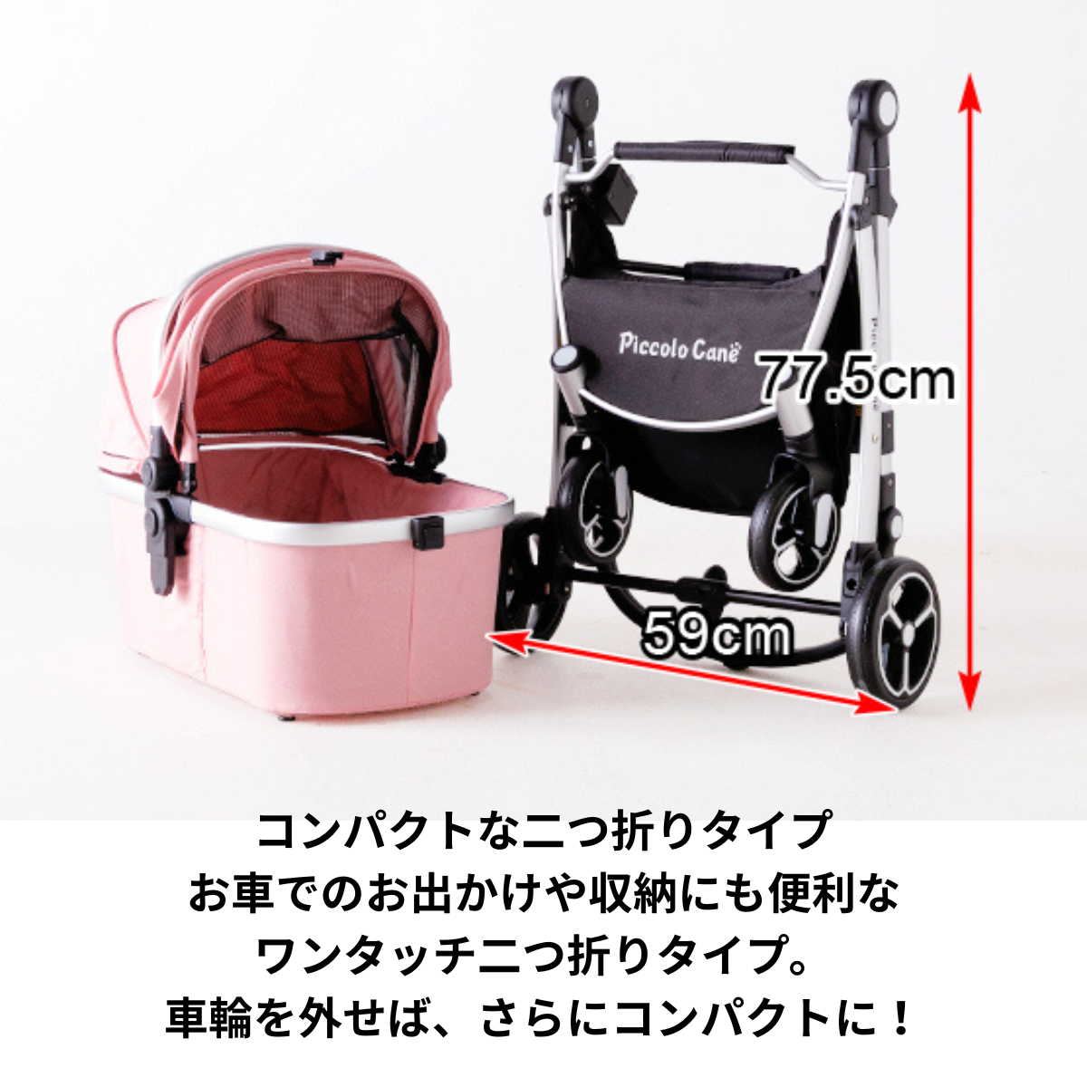 ピッコロカーネ　CARINOα（カリーノ アルファ）