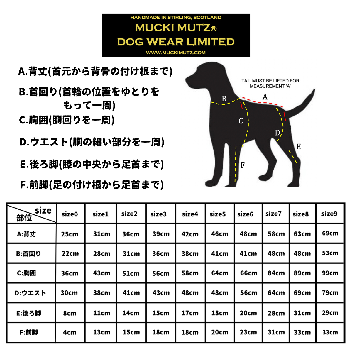 Mucki Mutz Dog Wear　ライトスーツ　グレイ　男の子、女の子兼用