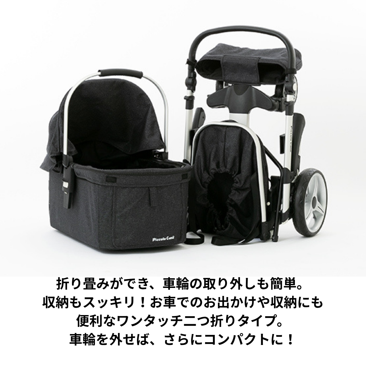ピッコロカーネ　VENTO（ベント）